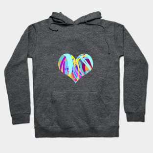 Colorful heart Hoodie